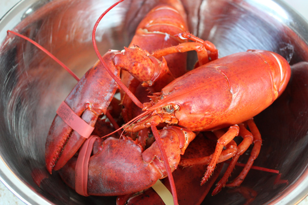 Boiled-Lobster