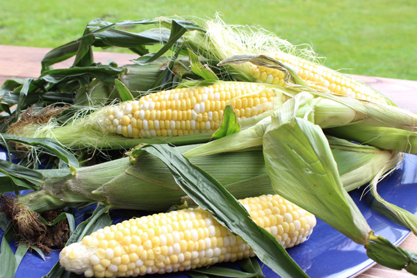 Gourmet Grilled Corn