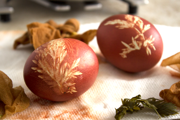 Onion-Dyed-Eggs3