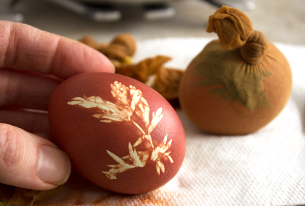 Unwrapped-Onion-Dyed-Eggs