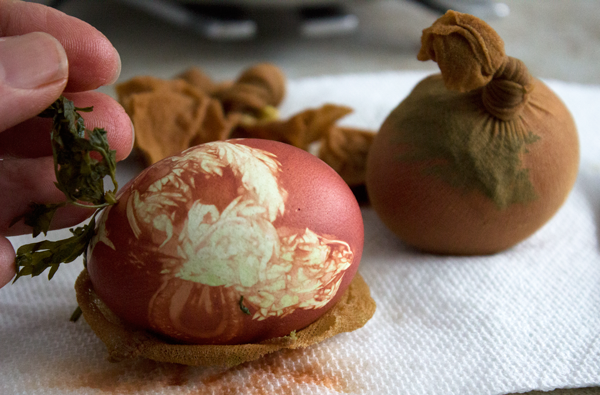 Unwrapping-Onion-Dyed-Eggs