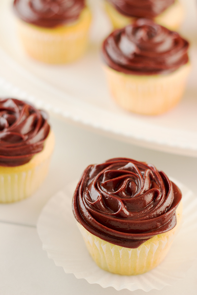 Chocolate Frosted Vanilla Cupcakes