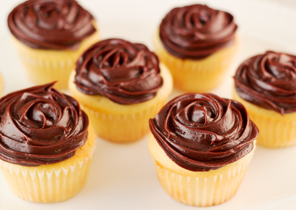 Chocolate Frosted Vanilla Cupcakes