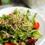 Easy Homegrown Broccoli Sprouts